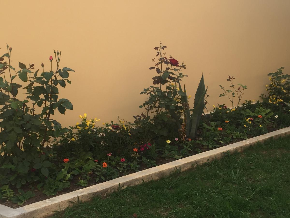 חאקבי Hotel Botanica מראה חיצוני תמונה
